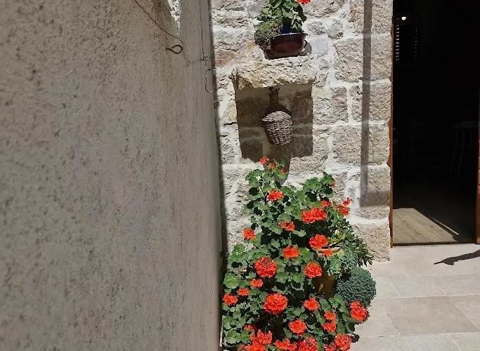 Masica Vila